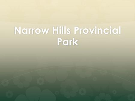 Narrow Hills Provincial Park. How to Get There! Zeden Lake 13 non-electric campsites 13 non-electric campsites Boat dock and launch Boat dock and launch.