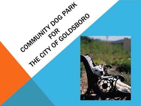 COMMUNITY DOG PARK FOR THE CITY OF GOLDSBORO. BACKGROUND 46.3 million United States households own a dog. With that statistic, dogs ranked number one.