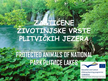 WELCOME TO NP PLITVICE LAKES