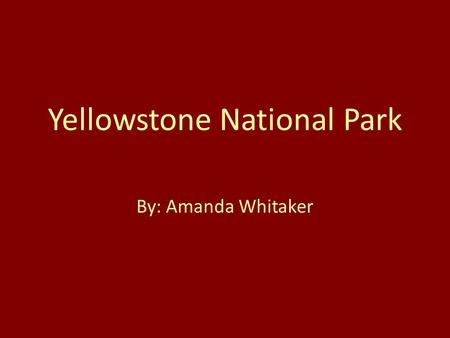 Yellowstone National Park By: Amanda Whitaker. Why Yellowstone? One of my favorite vacation spots It is the most unique and interesting place I have ever.