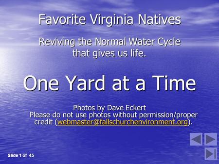 Favorite Virginia Natives Reviving the Normal Water Cycle that gives us life. One Yard at a Time Photos by Dave Eckert Please do not use photos without.