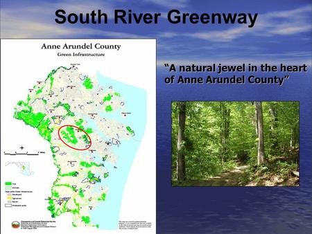 South River Greenway A natural jewel in the heart of Anne Arundel County.