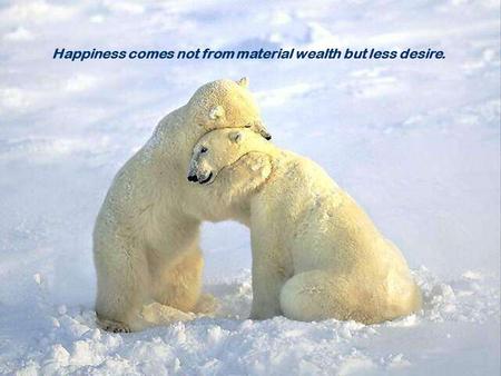 Happiness comes not from material wealth but less desire.