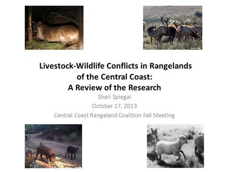 Livestock-Wildlife Conflicts in Rangelands of the Central Coast: A Review of the Research Sheri Spiegal October 17, 2013 Central Coast Rangeland Coalition.