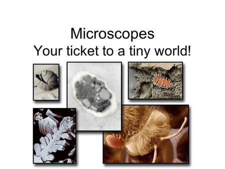Microscopes Your ticket to a tiny world!