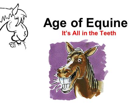 Age of Equine It’s All in the Teeth.