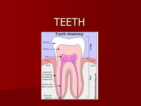 presentation on oral health