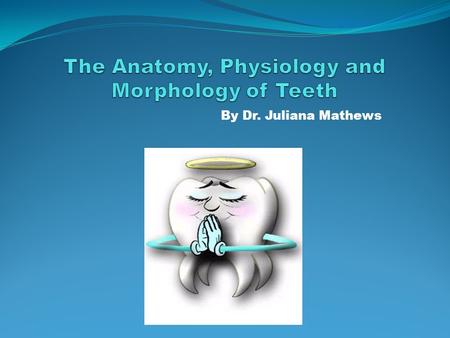 The Anatomy, Physiology and Morphology of Teeth