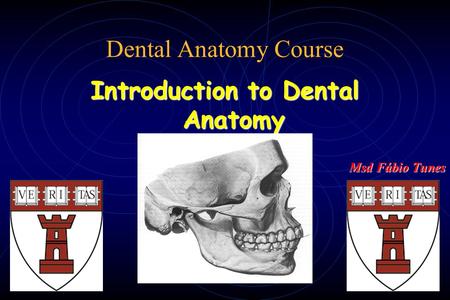Introduction to Dental Anatomy