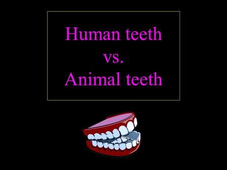 Human teeth vs. Animal teeth