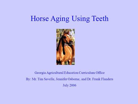 Horse Aging Using Teeth