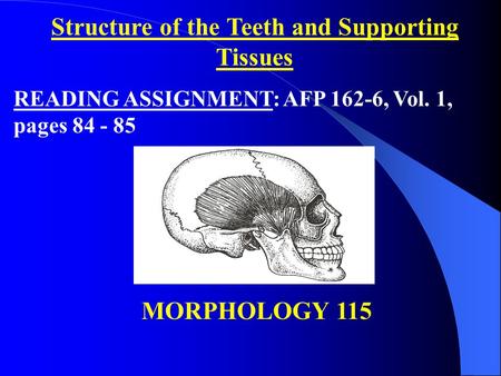 Structure of the Teeth and Supporting Tissues