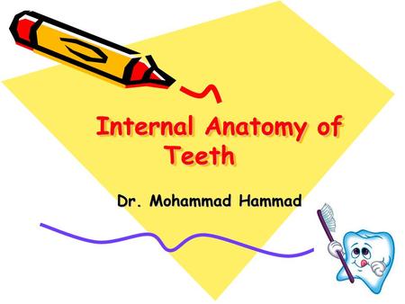 Internal Anatomy of Teeth