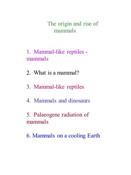 The origin and rise of mammals