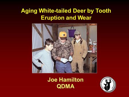 Aging White-tailed Deer by Tooth Eruption and Wear
