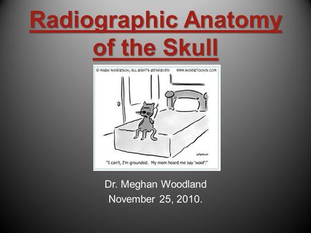 Radiographic Anatomy of the Skull