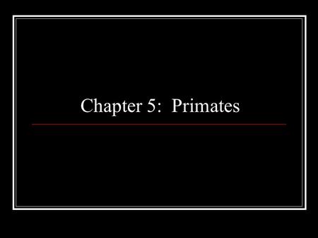Chapter 5: Primates.