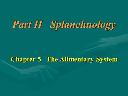 Chapter 5 The Alimentary System