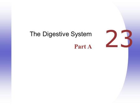 The Digestive System Part A