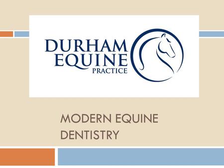 Modern Equine Dentistry