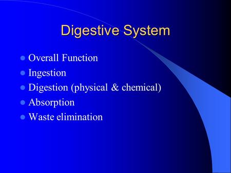 Digestive System Overall Function Ingestion