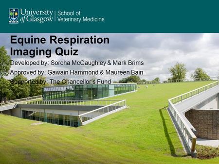 Equine Respiration Imaging Quiz Developed by: Sorcha McCaughley & Mark Brims Approved by: Gawain Hammond & Maureen Bain Supported by: The Chancellors Fund.