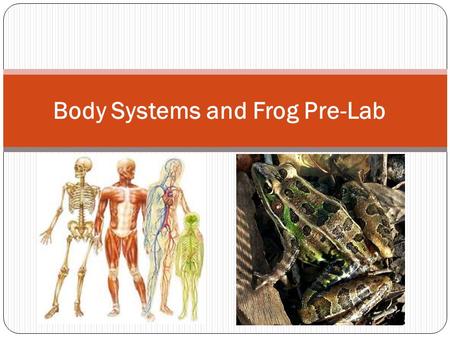 Body Systems and Frog Pre-Lab