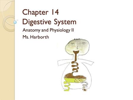 Chapter 14 Digestive System