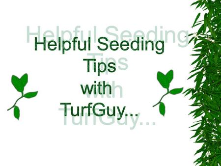 SEEDING YOUR LAWN It's best to seed your lawn in the fall, if possible. Of course, lawn seed can be sown at other times of the year. But fall is the ideal.