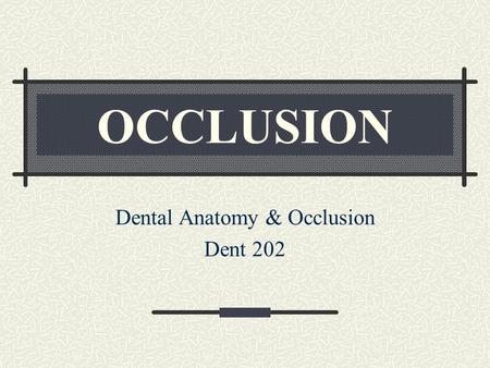 Dental Anatomy & Occlusion Dent 202