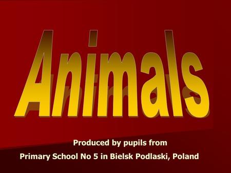 Produced by pupils from Primary School No 5 in Bielsk Podlaski, Poland.