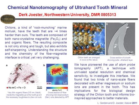 Chemical Nanotomography of Ultrahard Tooth Mineral Derk Joester, Northwestern University, DMR 0805313 200 µm 20 µm Chitons, a kind of “rock-munching”