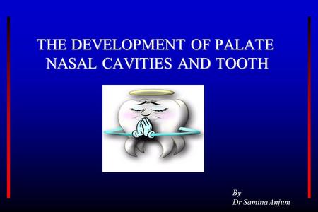 THE DEVELOPMENT OF PALATE NASAL CAVITIES AND TOOTH