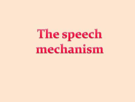 The speech mechanism.