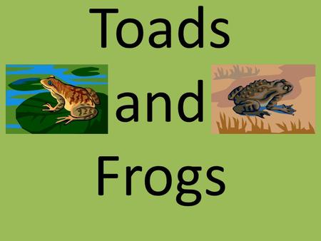 Toads and Frogs.