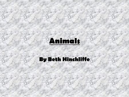 Animals By Beth Hinchliffe. Fish Fish are not mammals; they are just fish like sharks and clownfish etc. There are 40 known species of flying fish.
