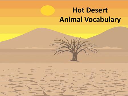 Hot Desert Animal Vocabulary