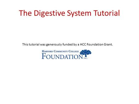 The Digestive System Tutorial This tutorial was generously funded by a HCC Foundation Grant.