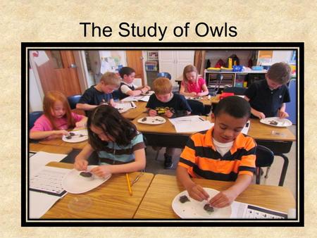 The Study of Owls.