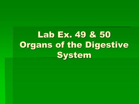Lab Ex. 49 & 50 Organs of the Digestive System
