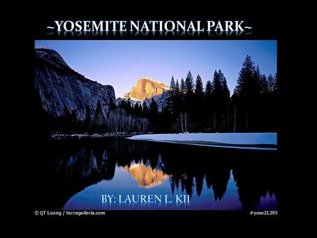 Yosemite National Park is located in California. Around 195 miles away from San Francisco. 761,266 acres is home to many wildlife species and Yosemite.