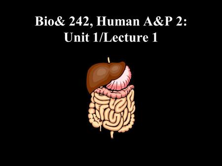 Bio& 242, Human A&P 2: Unit 1/Lecture 1