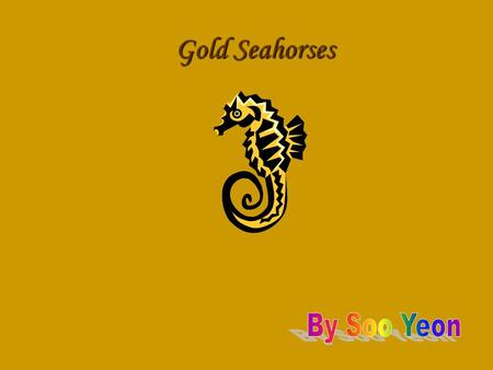 Gold Seahorses By Soo Yeon.
