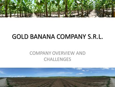 GOLD BANANA COMPANY S.R.L. COMPANY OVERVIEW AND CHALLENGES 1.