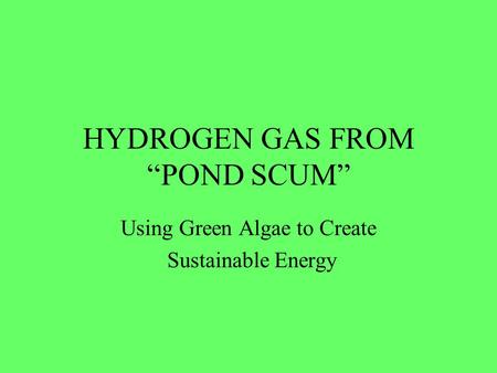 HYDROGEN GAS FROM “POND SCUM”