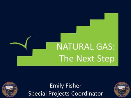 NATURAL GAS: The Next Step Emily Fisher Special Projects Coordinator.