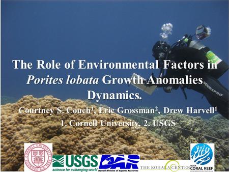 The Role of Environmental Factors in Porites lobata Growth Anomalies Dynamics. Courtney S. Couch 1, Eric Grossman 2, Drew Harvell 1 1. Cornell University,