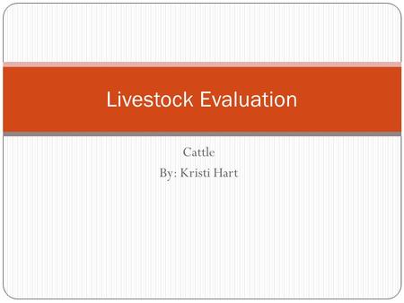 Cattle By: Kristi Hart Livestock Evaluation. Objectives Identify ideal structure, soundness, finish. Describe an ideal market steer.