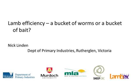 Lamb efficiency – a bucket of worms or a bucket of bait? Nick Linden Dept of Primary Industries, Rutherglen, Victoria.