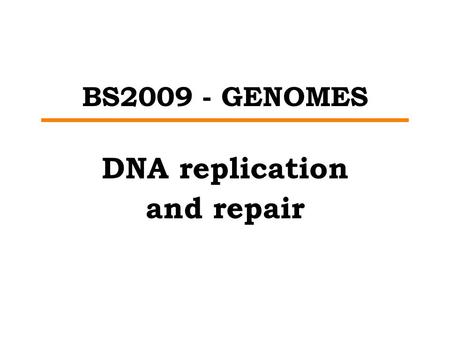DNA replication and repair